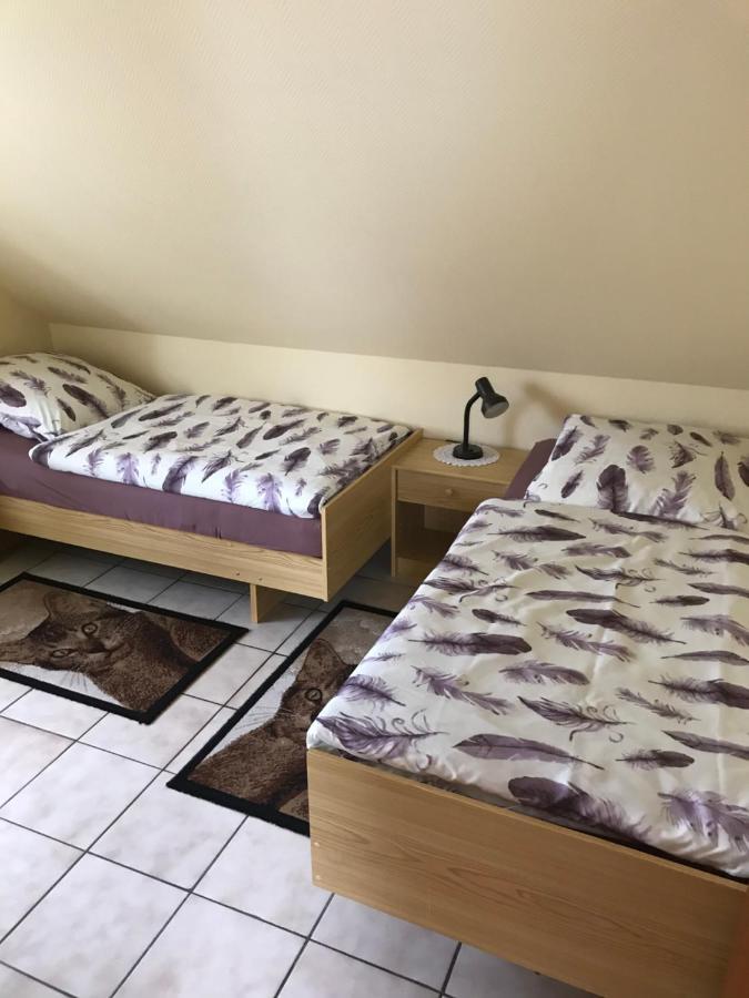 Ferienhaus Kleymann Sögel Εξωτερικό φωτογραφία